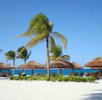 Plage Thaïlandaise avec des huttes et des palmiers.