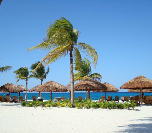 Thai beach with huts and palm trees.