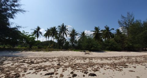 Beach front development land