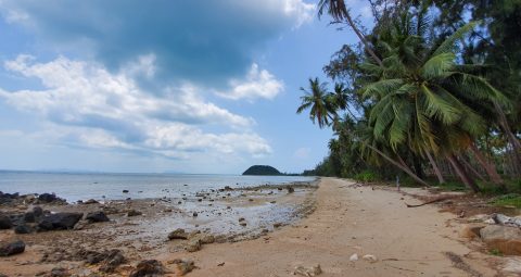 Beach front, sea view, samui sunset view