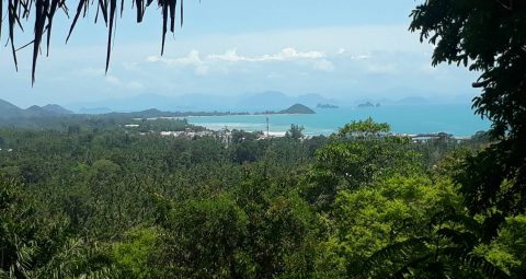 土地的海景和日落景色