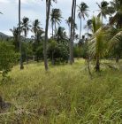 terrain avec vue cocoteraie koh samui