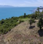 stunning plot of land in koh samui, thailand