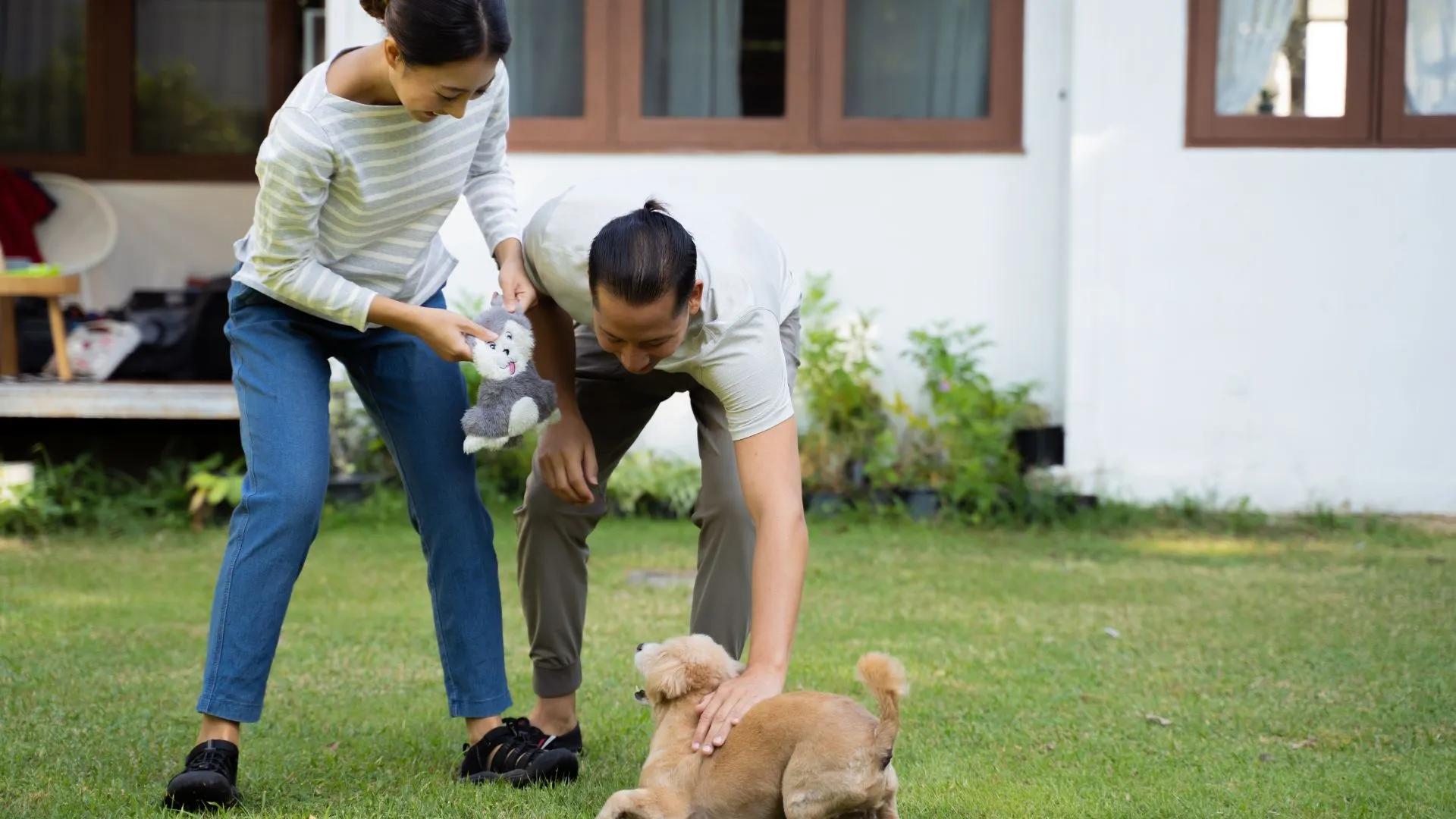 A young couple playing with their small dog in the backyard, using a stuffed toy to engage with the pet.