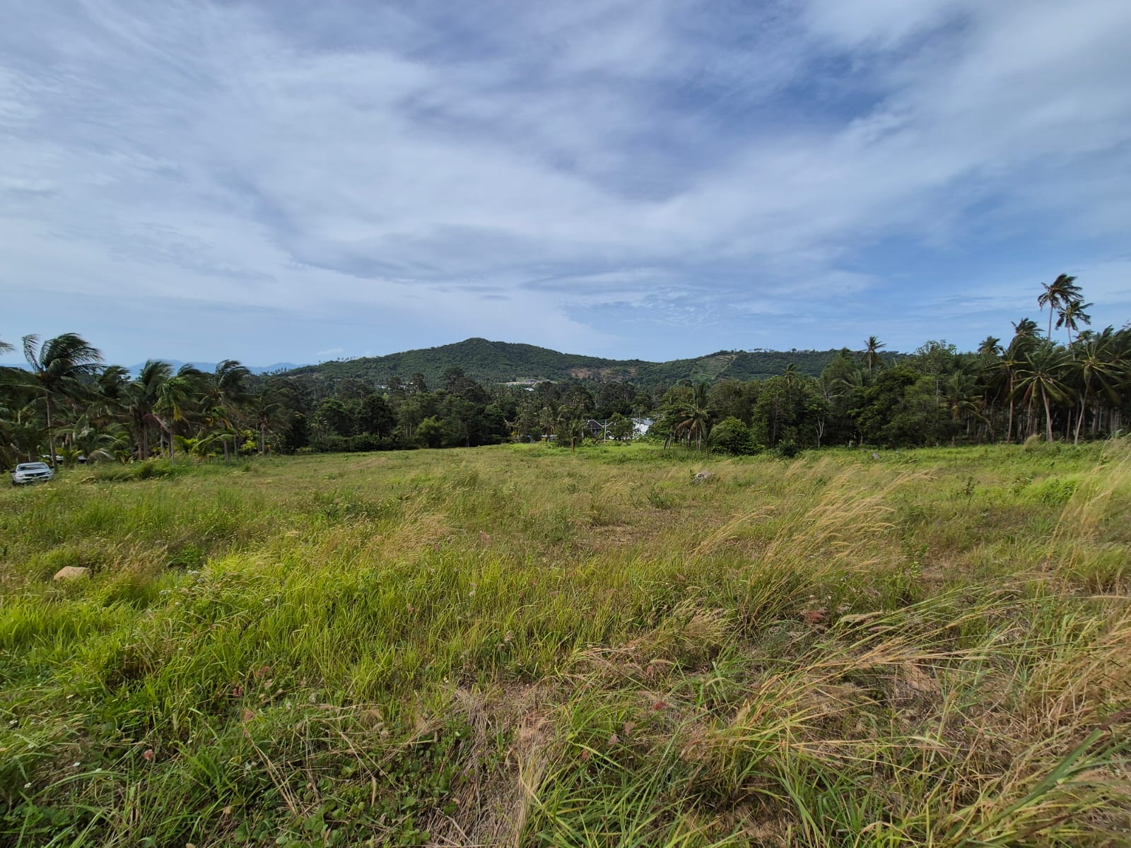 1 sea view land maenam koh samui