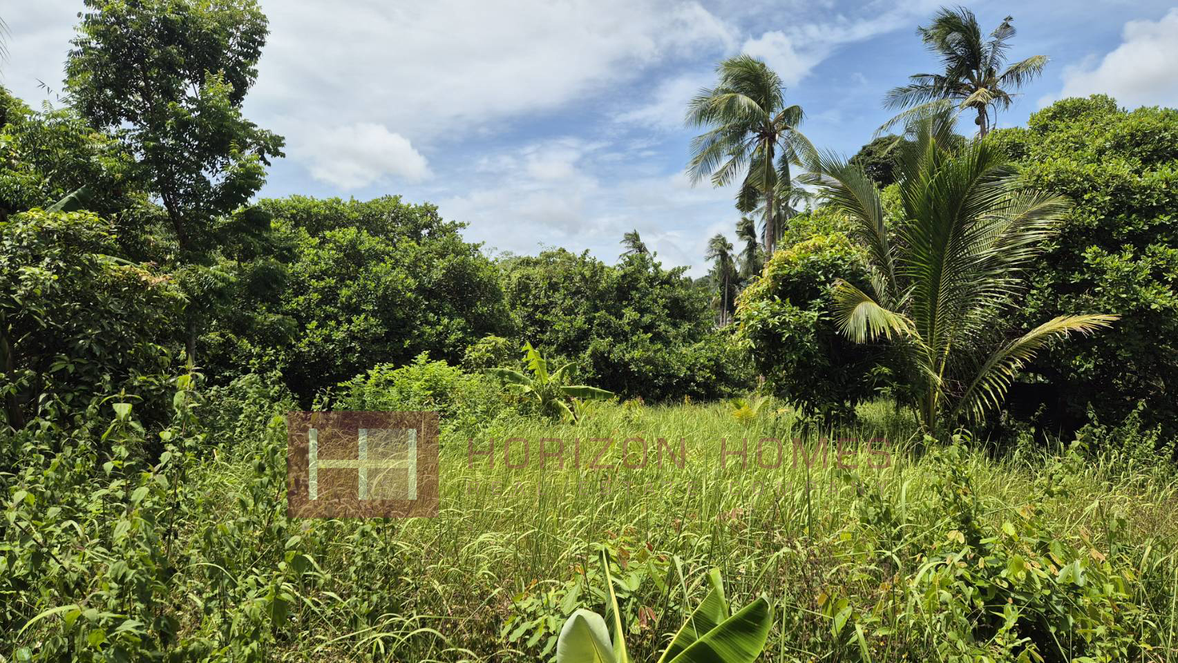 Land For Sale in Bang Rak – LS0483