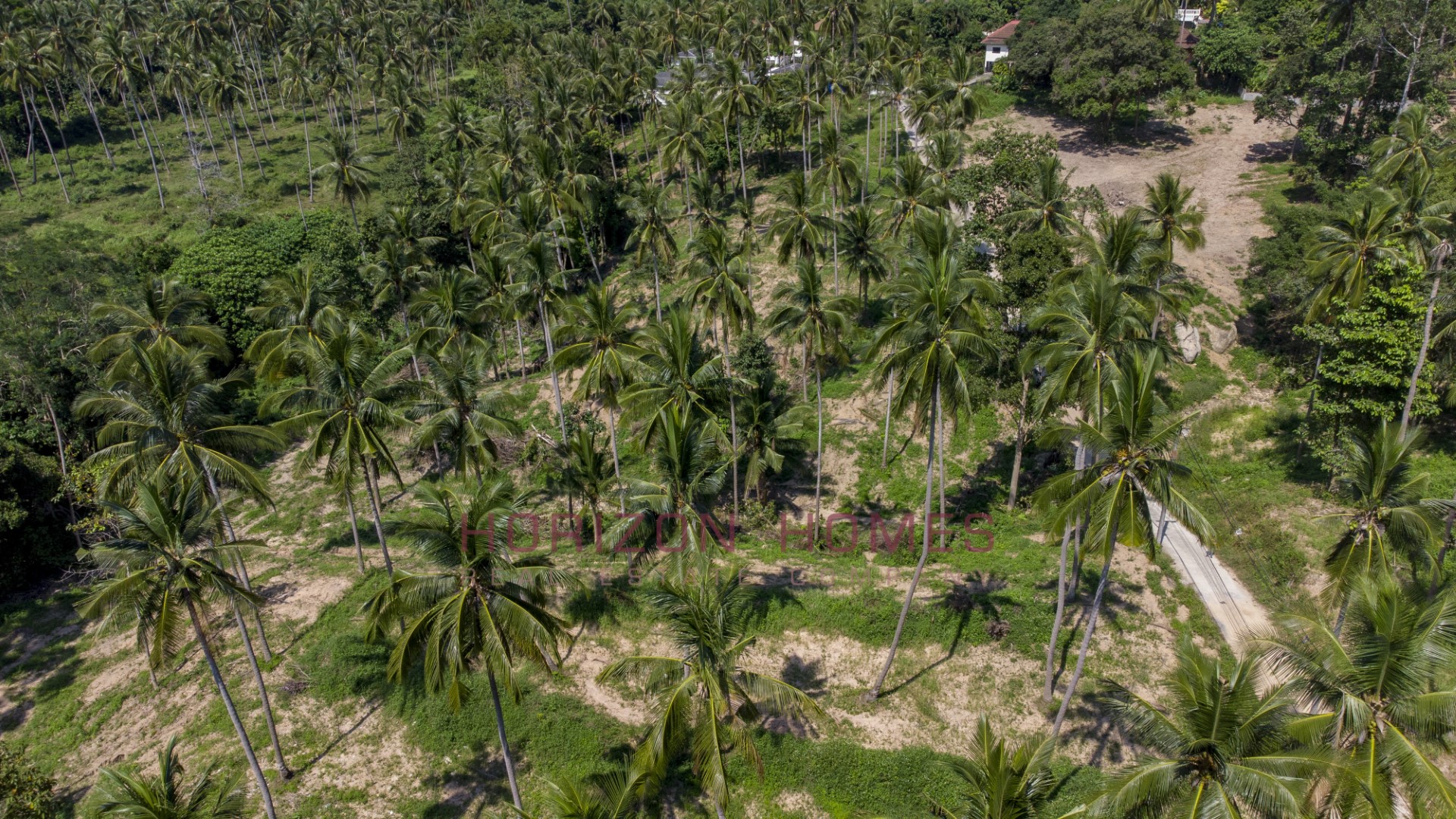 Land For Sale in Lamai – LS0494