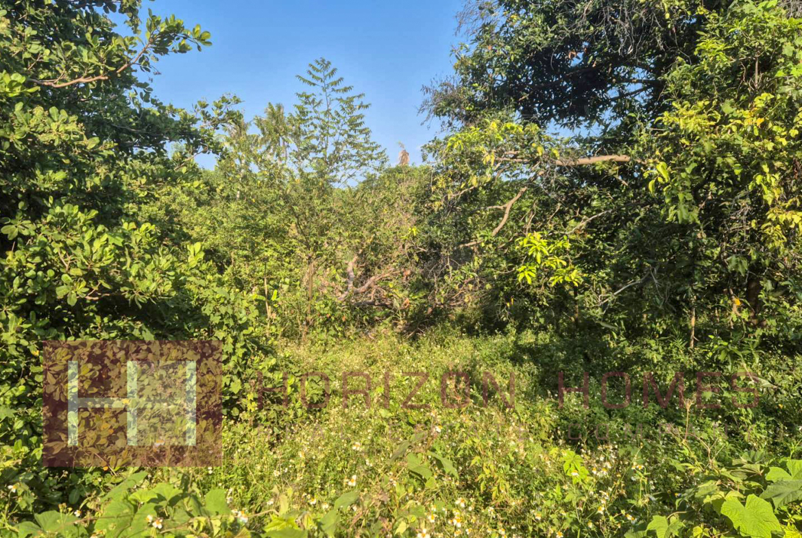 Land Property for sale in Koh Samui in North East – LS0509
