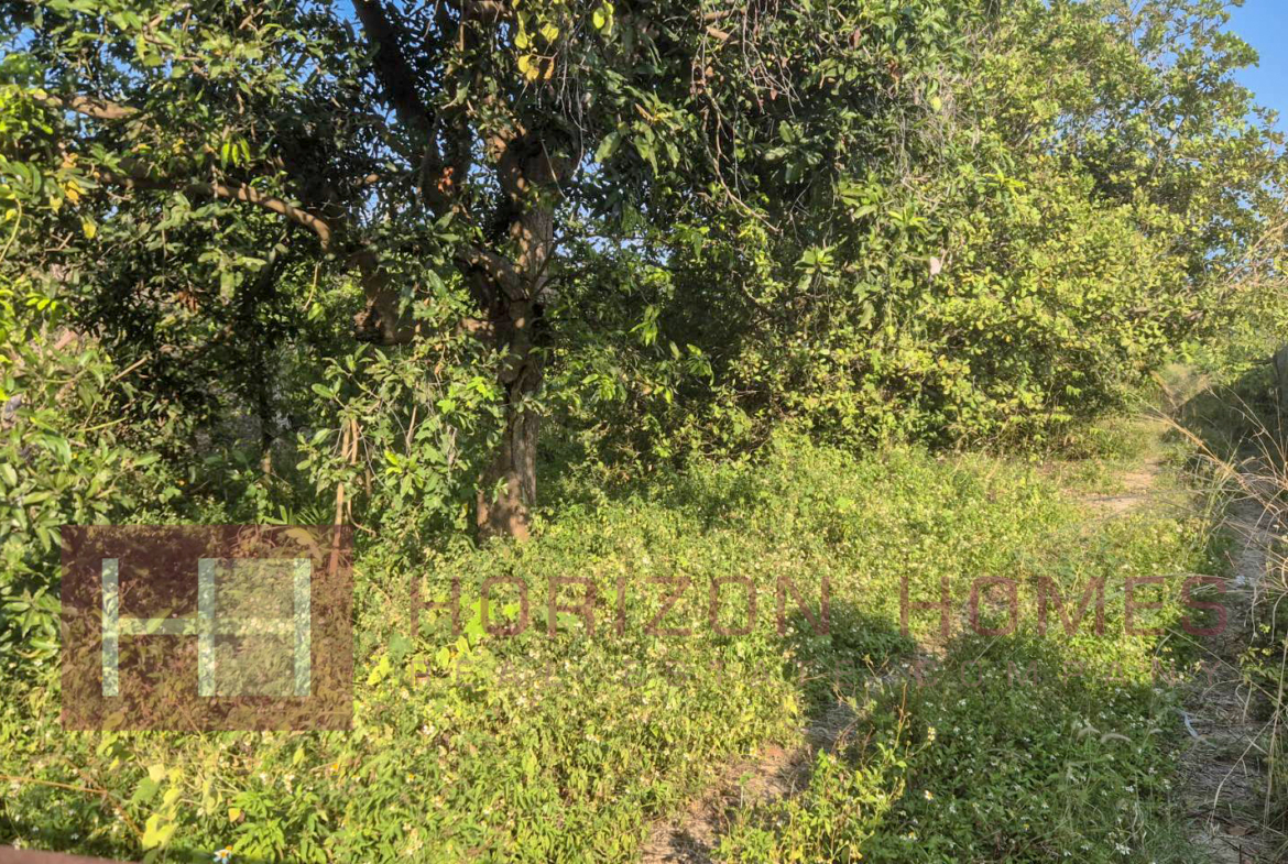 Land Property for sale in Koh Samui in North East – LS0509